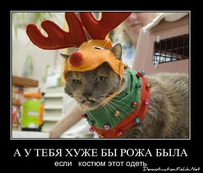 Смешной демотиватор от zubrilov за 10.12.2010 №62904