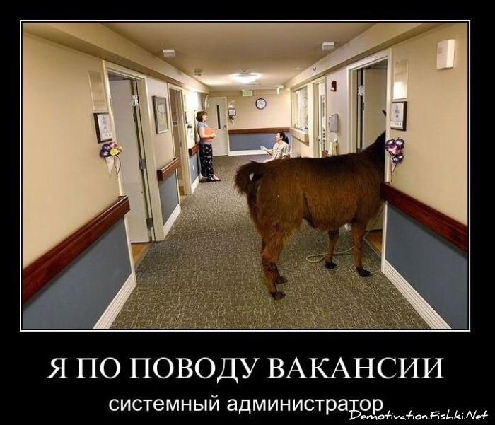 Смешной демотиватор от zubrilov за 10.12.2010 №62907