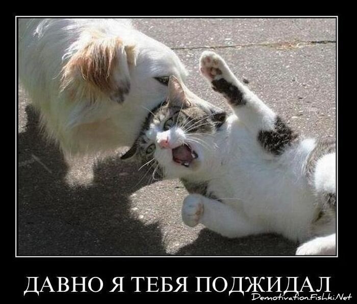 Демотиваторы, часть 92. (101 фото)