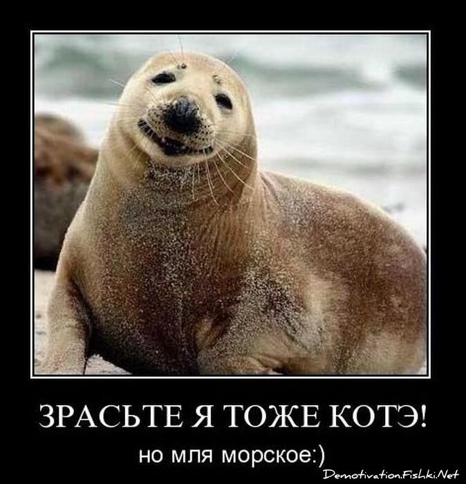 Смешной демотиватор от zubrilov за 10.12.2010 №62911