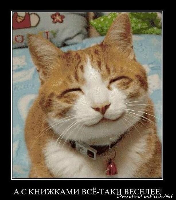 Смешной демотиватор от zubrilov за 10.12.2010 №62914