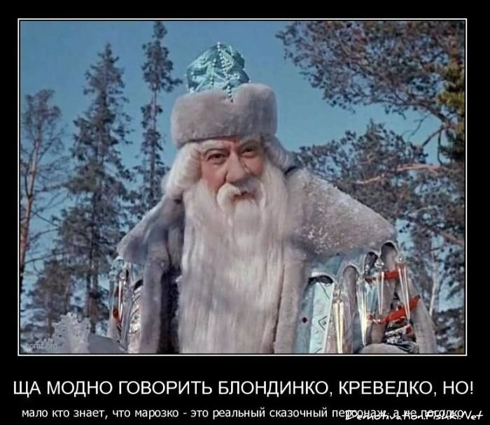 Смешной демотиватор от zubrilov за 10.12.2010 №62915