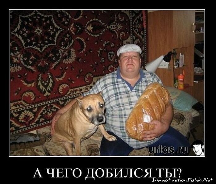 Смешной демотиватор от zubrilov за 10.12.2010 №62922
