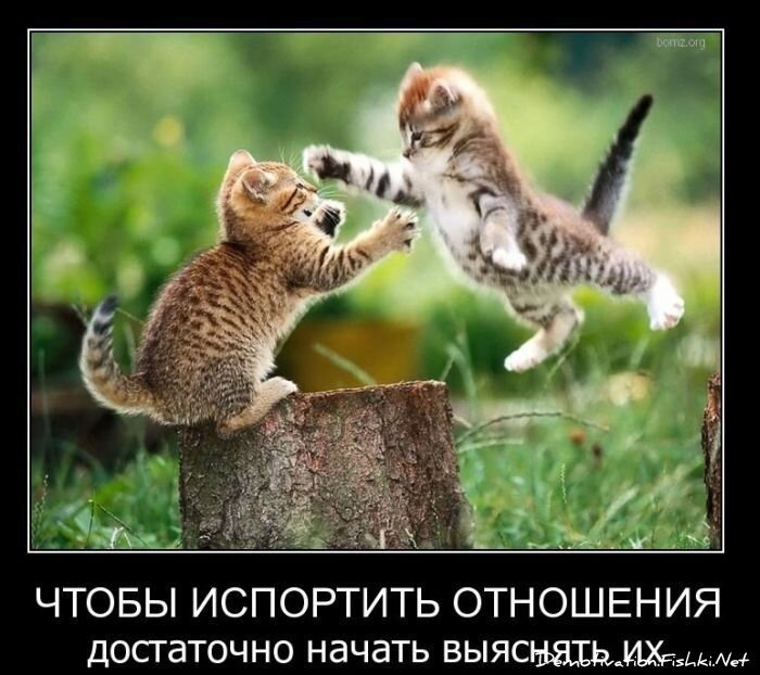 Смешной демотиватор от zubrilov за 10.12.2010 №62923