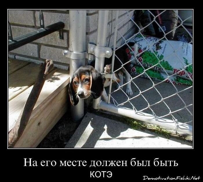 Смешной демотиватор от zubrilov за 10.12.2010 №62926