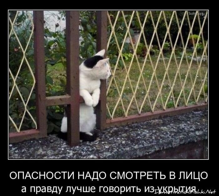 Смешной демотиватор от zubrilov за 10.12.2010 №62928