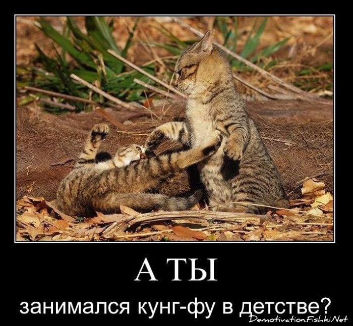 Смешной демотиватор от zubrilov за 10.12.2010 №62930