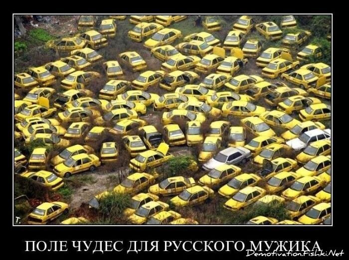 Смешной демотиватор от zubrilov за 10.12.2010 №62931