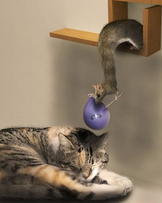 Прикольные фото и картинки от zubrilov за 14.12.2010 №63138