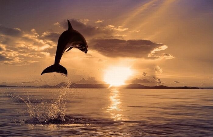 Прикольные фото и картинки от zubrilov за 14.12.2010 №63143