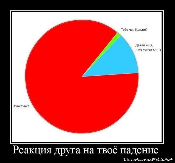 Смешной демотиватор от zubrilov за 17.12.2010 №63534