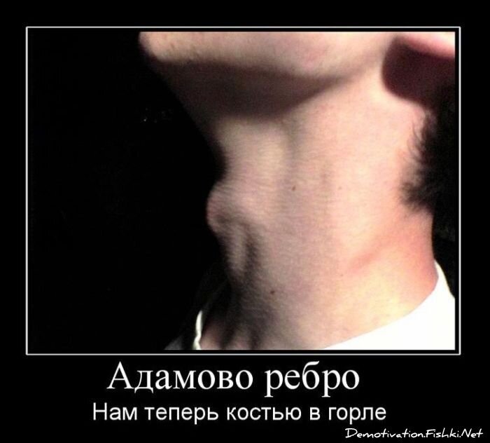 Смешной демотиватор от zubrilov за 17.12.2010 №63539