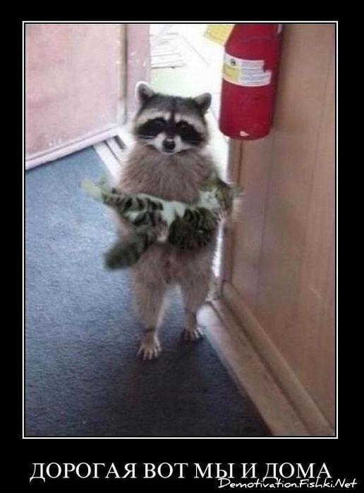 Смешной демотиватор от zubrilov за 17.12.2010 №63541