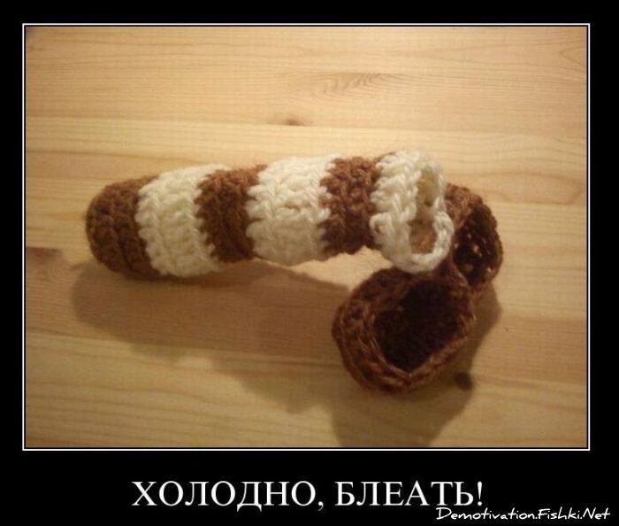 Смешной демотиватор от zubrilov за 17.12.2010 №63543