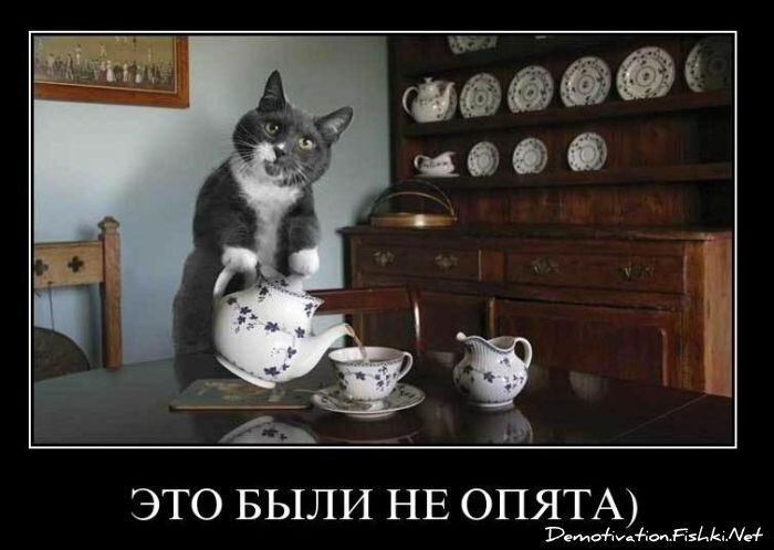 Смешной демотиватор от zubrilov за 17.12.2010 №63547