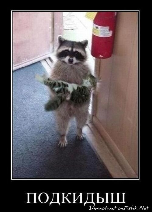 Демотиваторы, часть 94. (82 фото)
