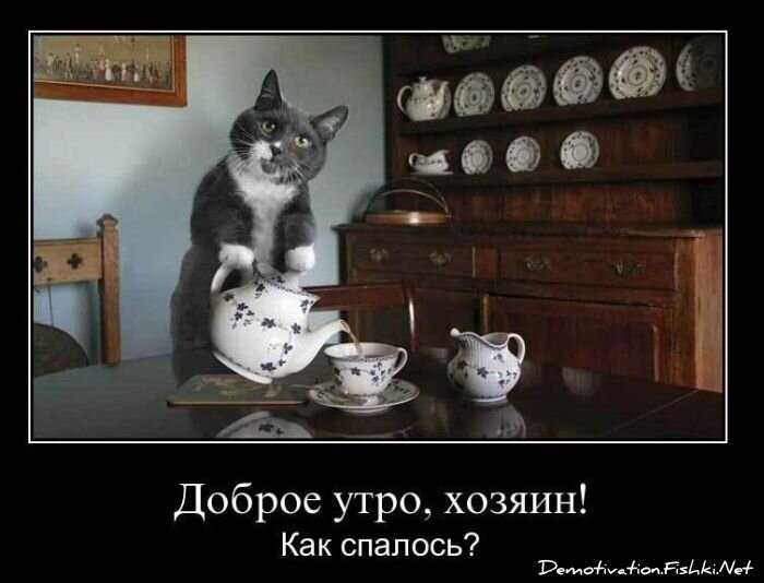 Смешной демотиватор от zubrilov за 17.12.2010 №63549