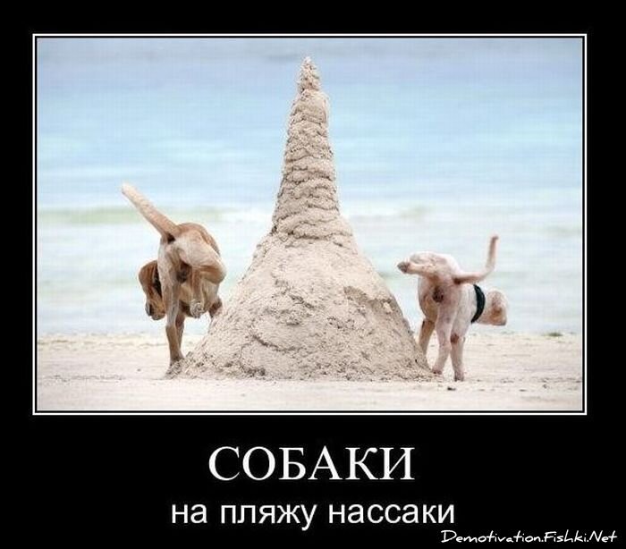 Смешной демотиватор от zubrilov за 17.12.2010 №63555