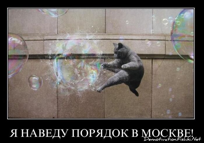 Демотиваторы, часть 94. (82 фото)