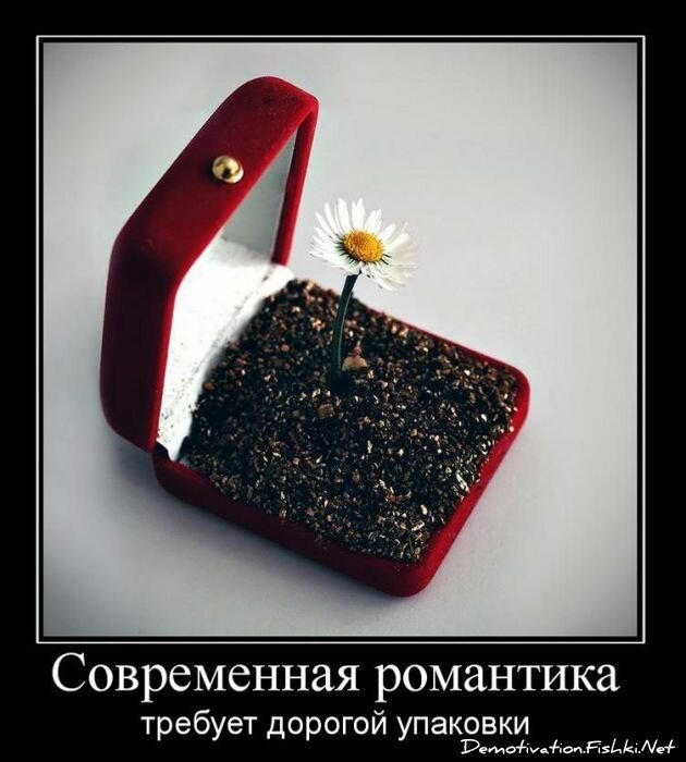 Демотиваторы, часть 94. (82 фото)