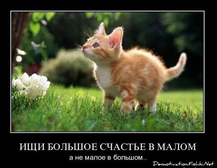 Смешной демотиватор от zubrilov за 17.12.2010 №63568