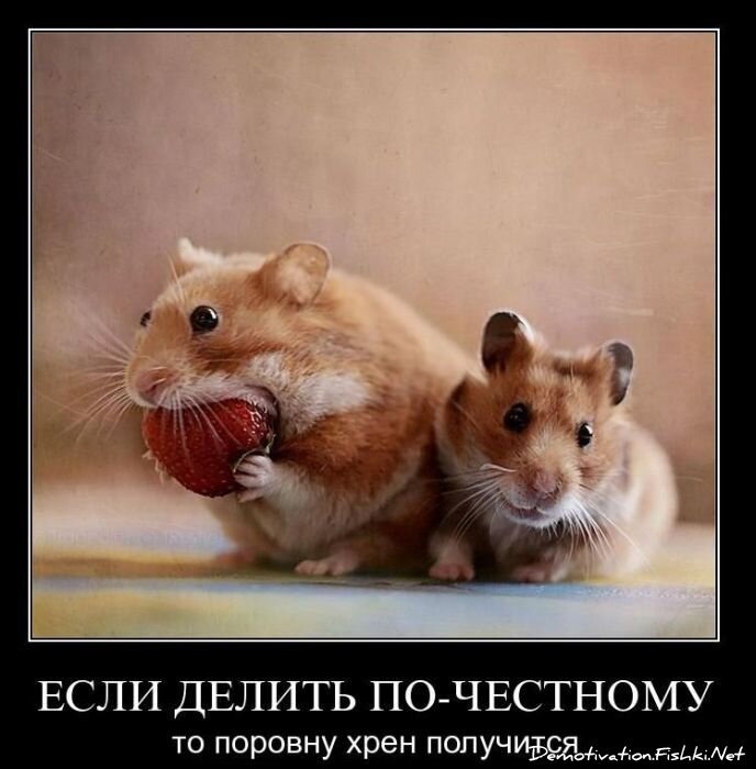 Смешной демотиватор от zubrilov за 17.12.2010 №63569