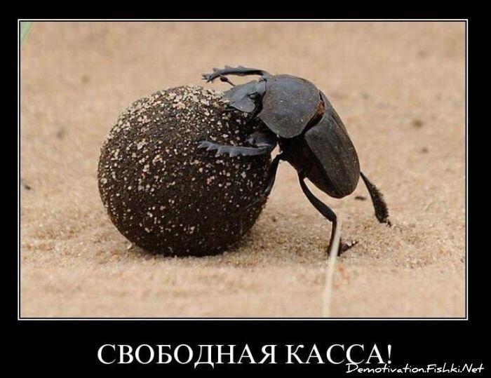 Смешной демотиватор от zubrilov за 17.12.2010 №63572
