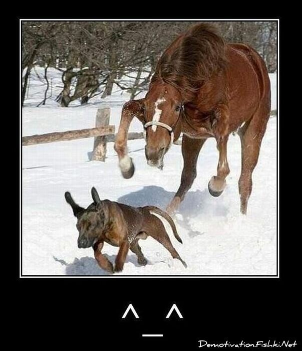 Смешной демотиватор от zubrilov за 17.12.2010 №63580