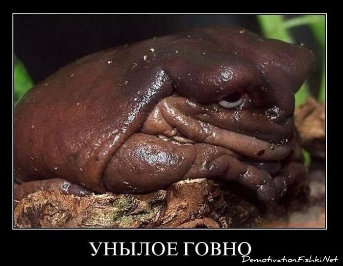 Смешной демотиватор от zubrilov за 17.12.2010 №63582
