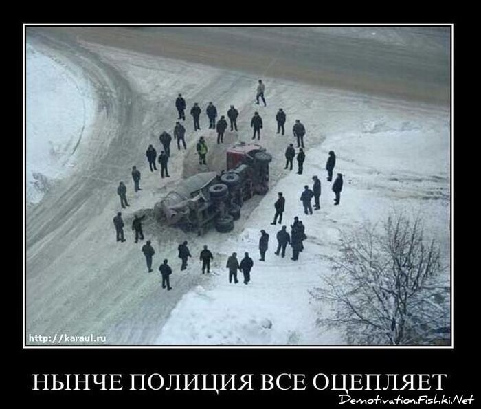 Демотиваторы, часть 94. (82 фото)