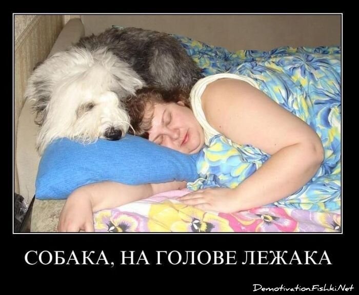 Демотиваторы, часть 94. (82 фото)