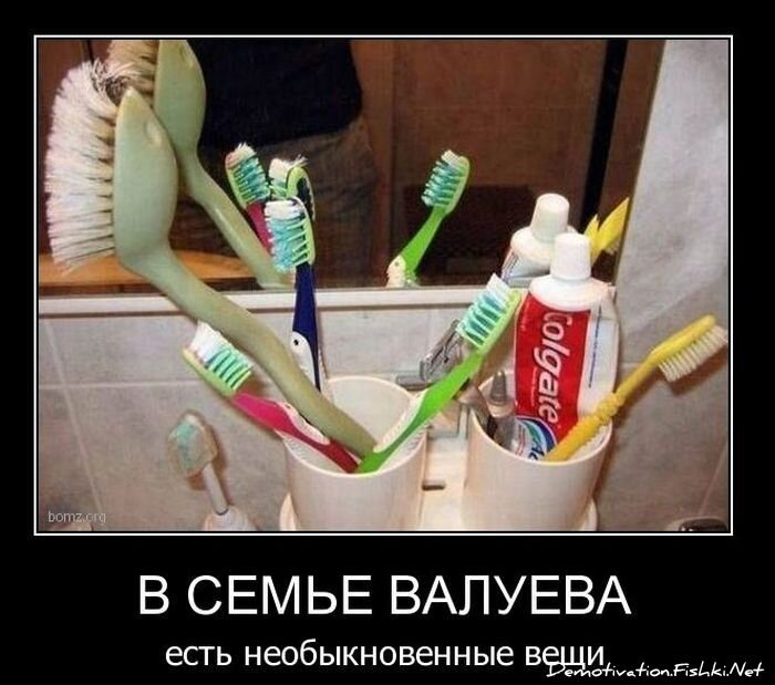 Смешной демотиватор от zubrilov за 17.12.2010 №63587