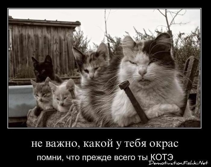 Смешной демотиватор от zubrilov за 17.12.2010 №63589