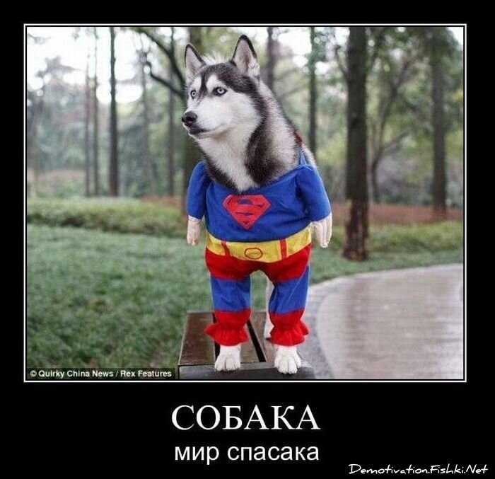 Смешной демотиватор от zubrilov за 17.12.2010 №63591