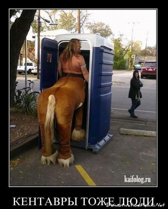 Смешной демотиватор от zubrilov за 22.12.2010 №63910