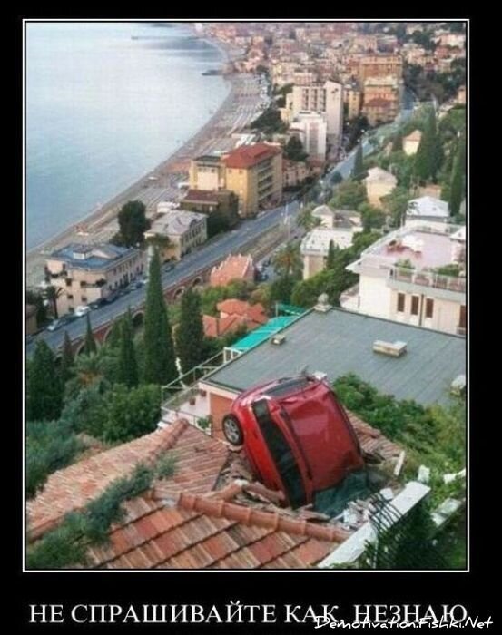 Смешной демотиватор от zubrilov за 22.12.2010 №63924