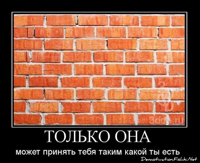 Смешной демотиватор от zubrilov за 22.12.2010 №63931