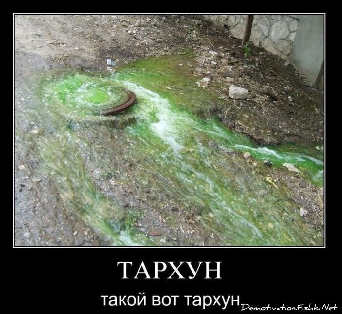 Смешной демотиватор от zubrilov за 22.12.2010 №63938