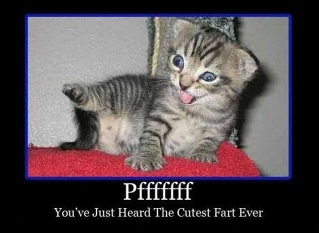 Прикольные фото и картинки от zubrilov за 24.12.2010 №64169