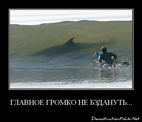 Главное громко не бздануть...