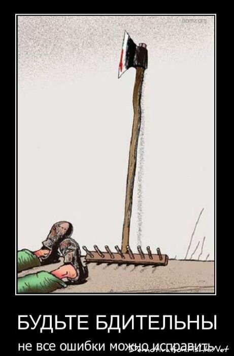 Смешной демотиватор от zubrilov за 29.12.2010 №64675