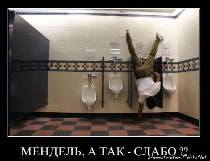 Смешной демотиватор от zubrilov за 29.12.2010 №64690