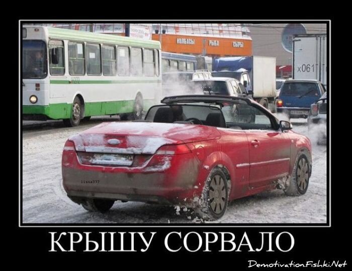 Смешной демотиватор от zubrilov за 29.12.2010 №64692