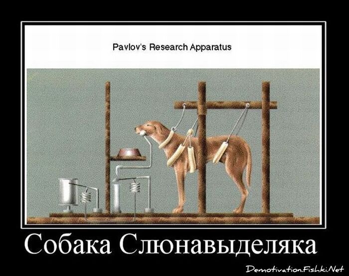 Смешной демотиватор от zubrilov за 29.12.2010 №64694