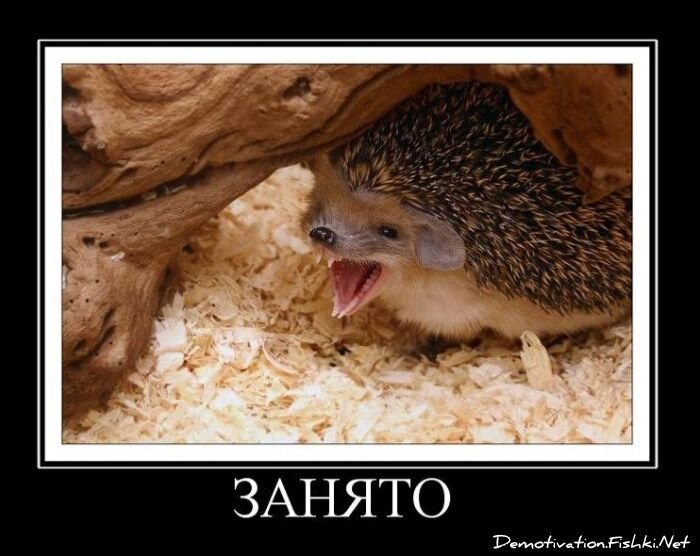 Смешной демотиватор от zubrilov за 29.12.2010 №64695