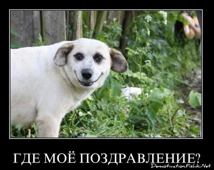 Смешной демотиватор от zubrilov за 29.12.2010 №64697