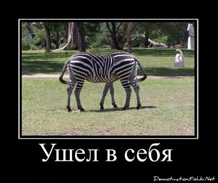 Смешной демотиватор от zubrilov за 29.12.2010 №64716
