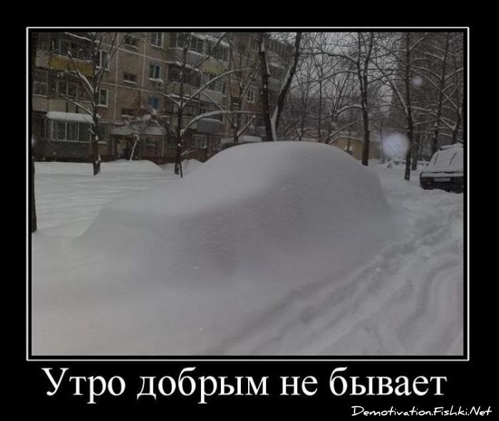 Смешной демотиватор от zubrilov за 29.12.2010 №64720