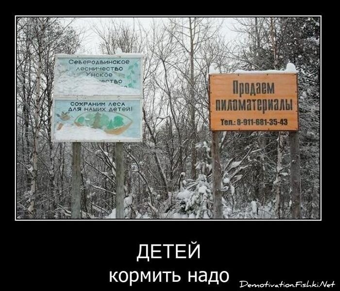 Смешной демотиватор от zubrilov за 29.12.2010 №64726