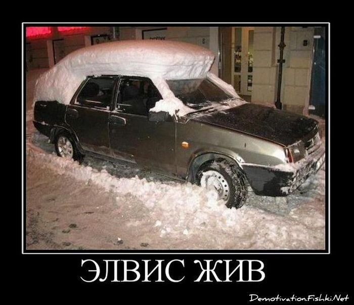 Смешной демотиватор от zubrilov за 29.12.2010 №64727